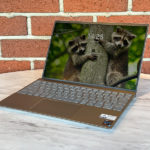 DELL Inspiron 13 5310 Windows Updateができない