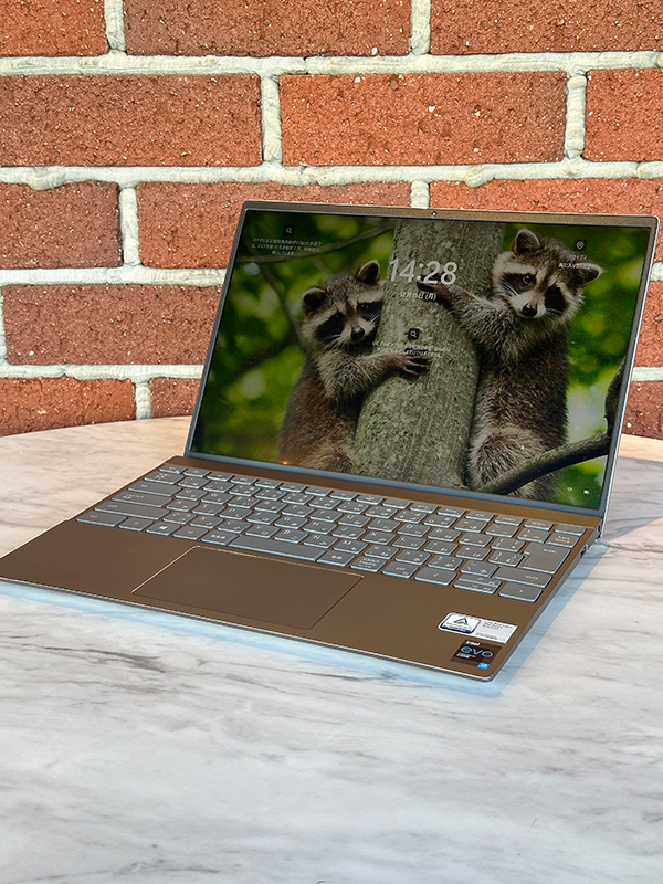 DELL Inspiron 13 5310 Windows Updateができない